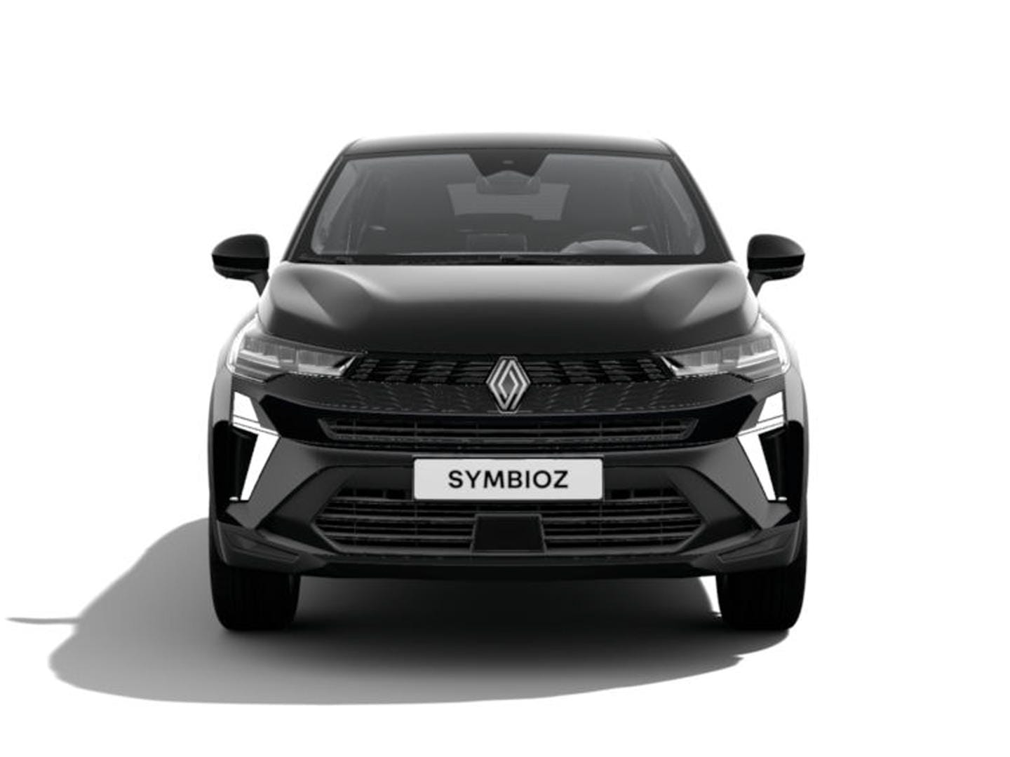Renault Symbioz 3173