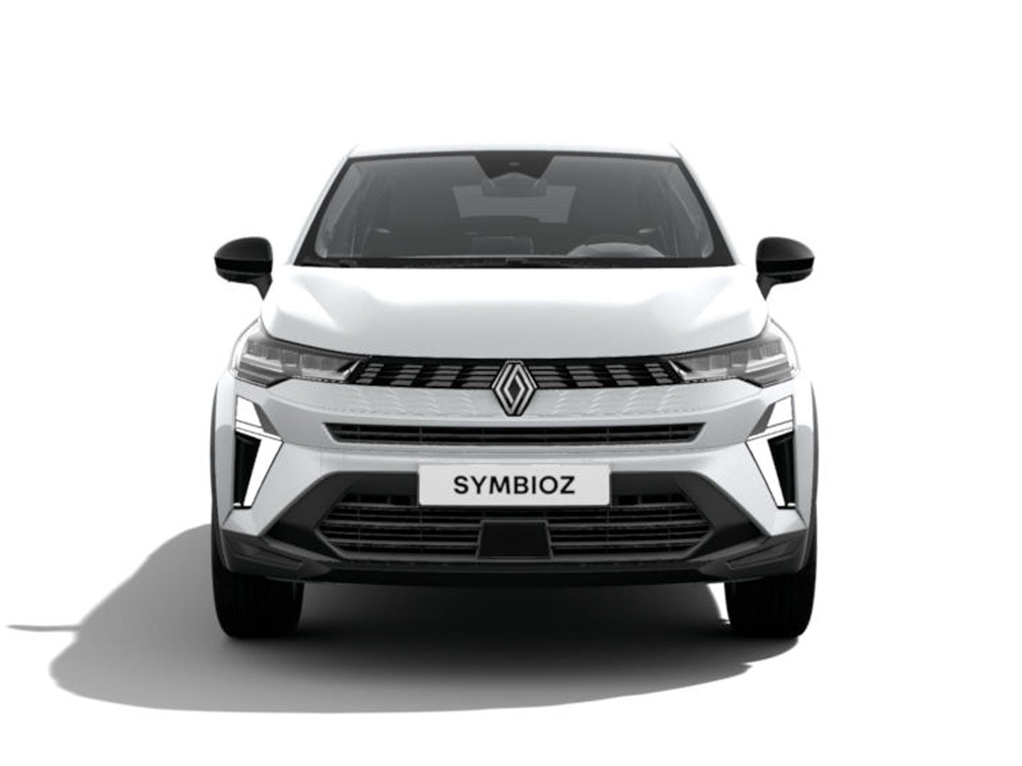 Renault Symbioz 3173