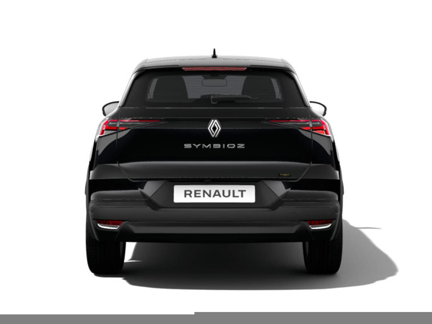 Renault Symbioz 3173