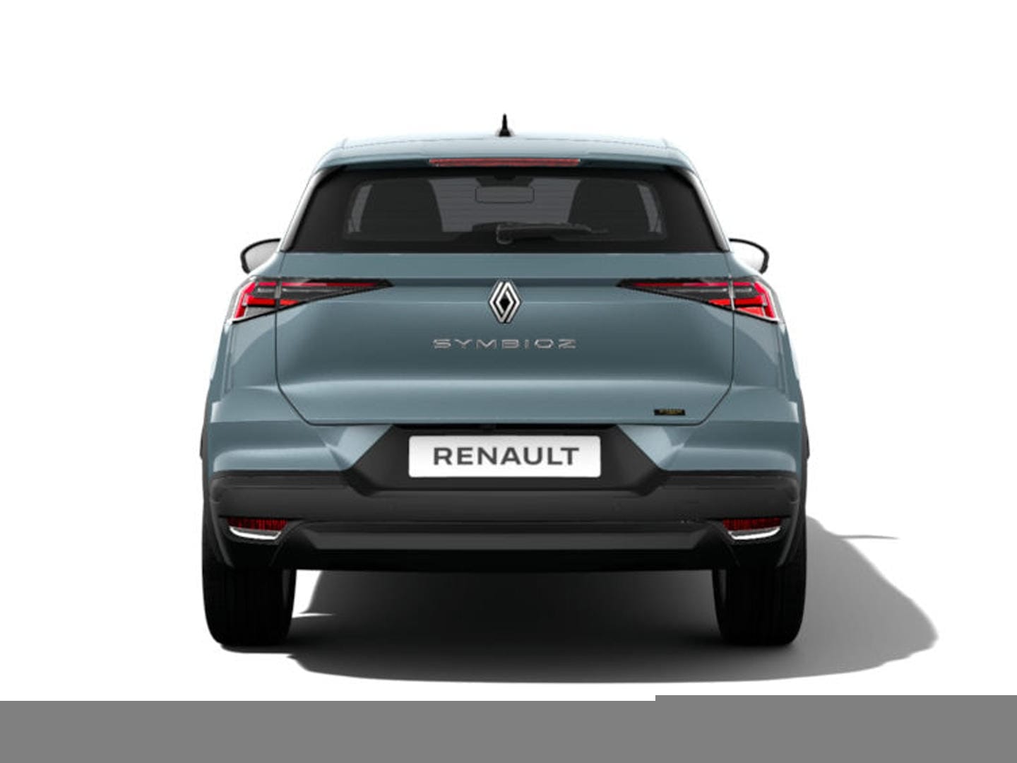 Renault Symbioz 3173
