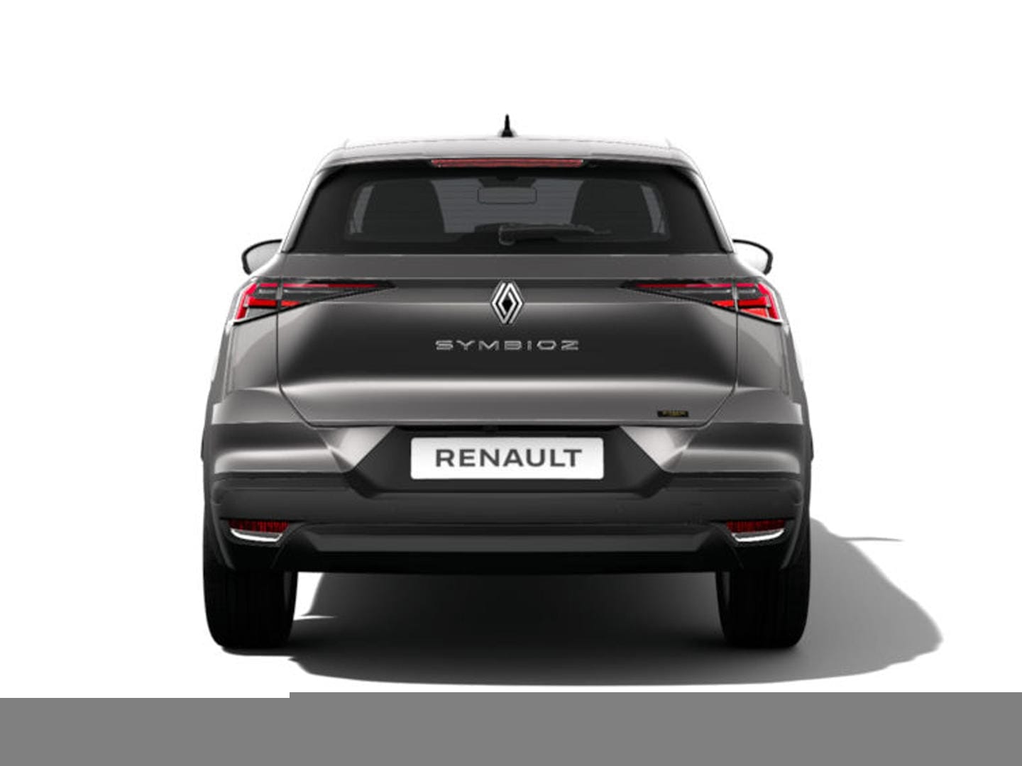 Renault Symbioz 3173