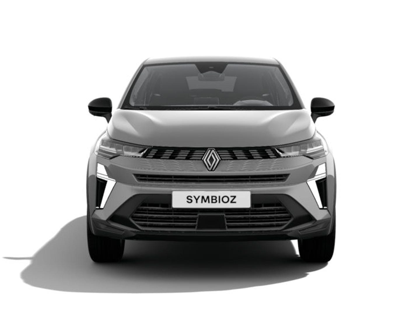 Renault Symbioz 3173